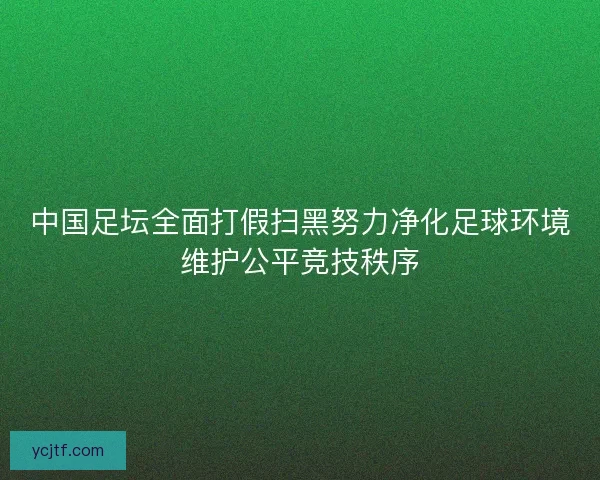 中国足坛全面打假扫黑努力净化足球环境维护公平竞技秩序