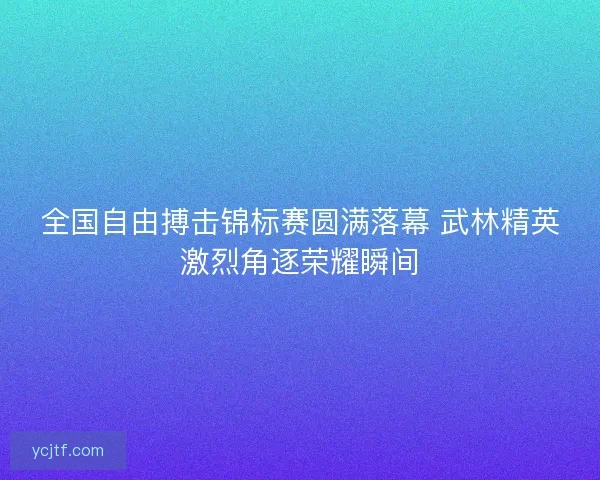 全国自由搏击锦标赛圆满落幕 武林精英激烈角逐荣耀瞬间